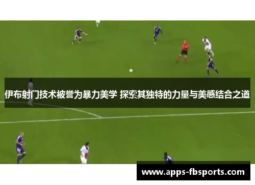 伊布射门技术被誉为暴力美学 探索其独特的力量与美感结合之道